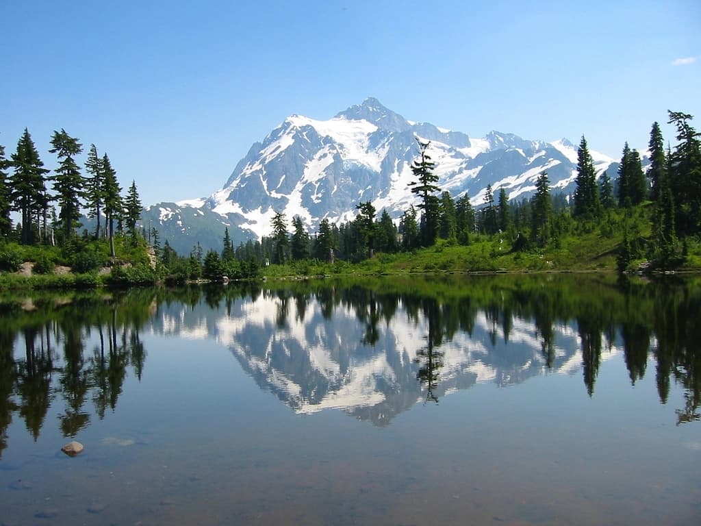Best Shilajit in Canada 2026: Where to Buy Quality Resin