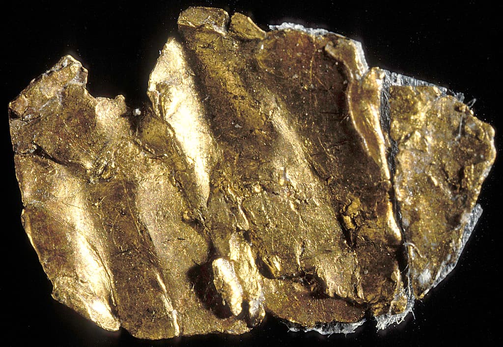 Shilajit Gold vs Regular Shilajit: What Actually Differs