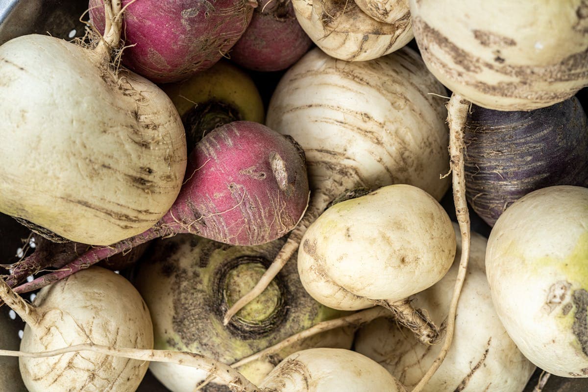 Shilajit vs Maca Root: Mineral Resin Versus Cruciferous Root