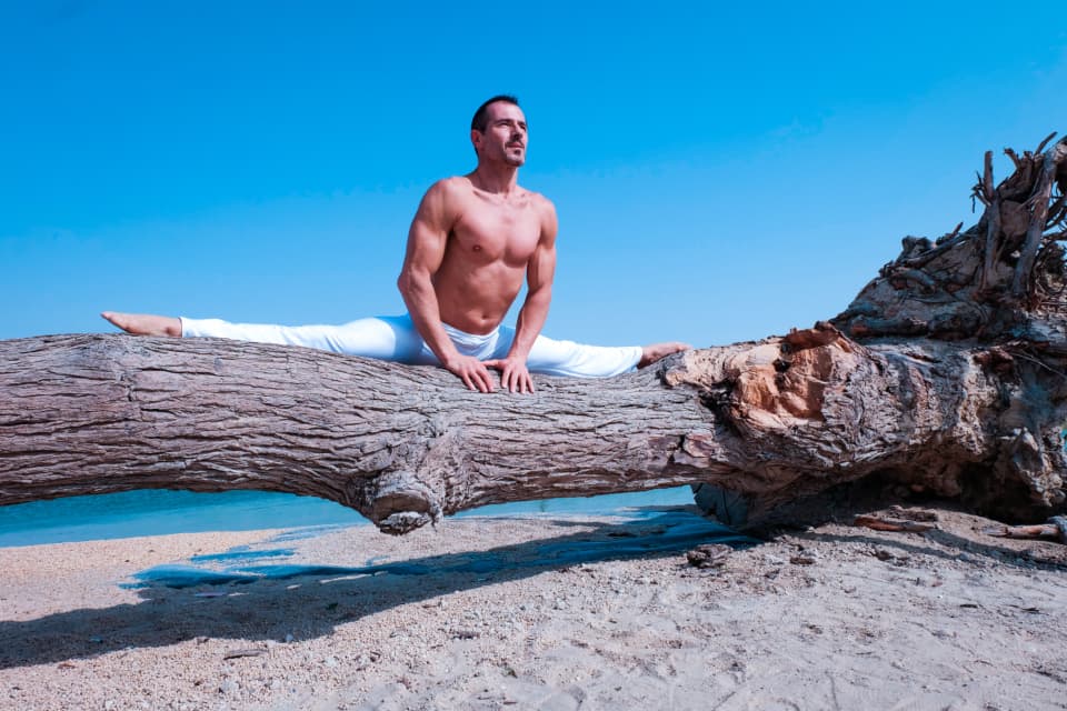 How Much Does Shilajit Increase Testosterone? Study Results