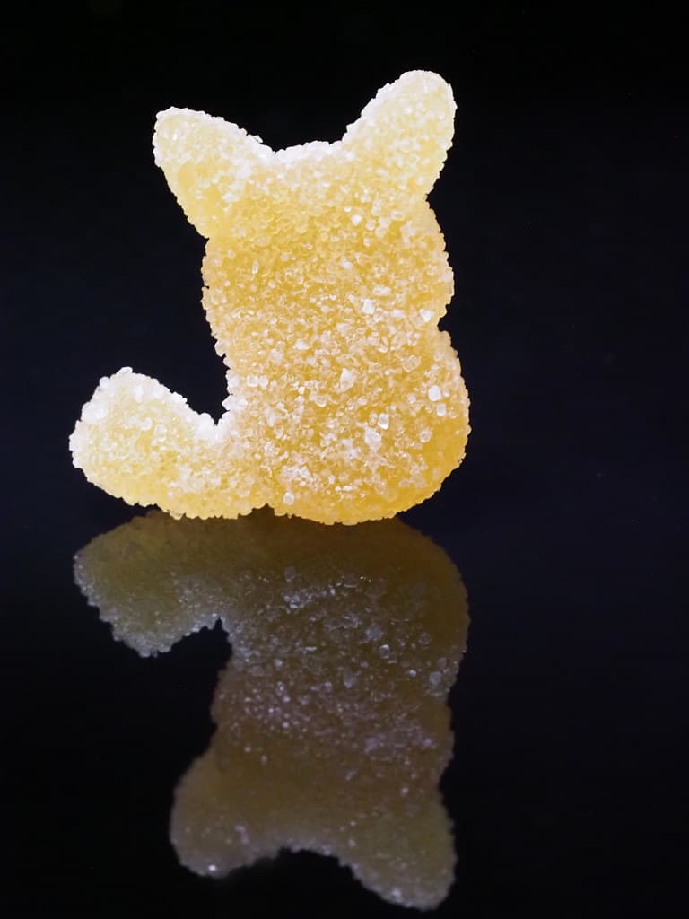 Shilajit Gummies for Women: Do They Actually Work?