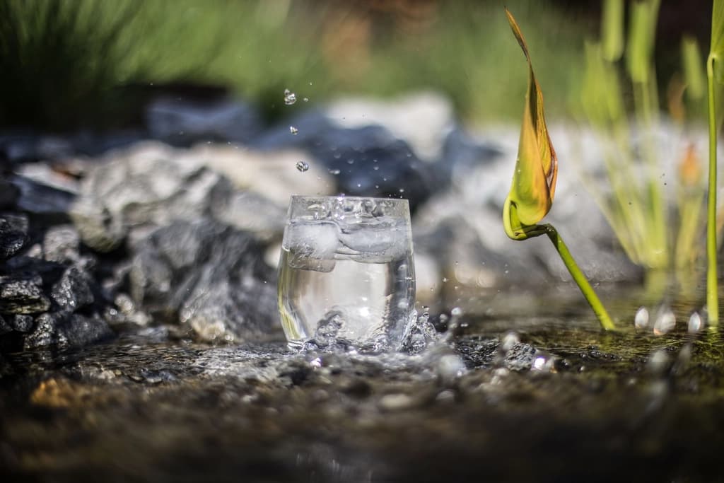 Shilajit with Water: Cold vs Warm and How to Dissolve Resin